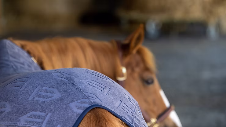 Comment couvrir cheval